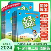 《2024版53天天练》