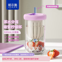 哈尔斯玻璃杯吸管杯女士耐热早餐杯牛奶杯可爱少女奶茶水杯子 粉色530ml【标配吸管】