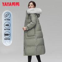 移动端、京东百亿补贴：YAYA 鸭鸭羽绒服 鸭鸭 反季 女长款过膝加厚羽绒服（多颜色任选）