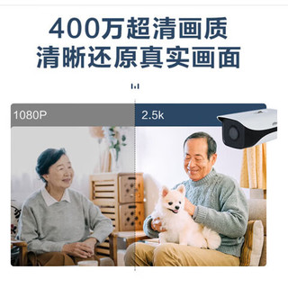 大华dahua 监控摄像头400万2K网络高清摄像机监控poe供电红外夜视防尘防水IPC-HFW1430M-A-I1 3.6-6mm