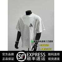 小众设计高级感鹈鹕涂鸦潮牌短袖T恤男2024夏季宽松重磅纯棉体恤