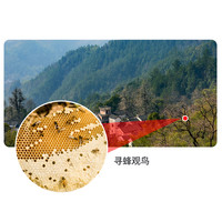 双筒望远镜高倍高清专业级钓鱼户外夜视观鸟防水手机望眼镜演唱会