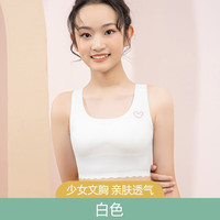 浪莎(LangSha)少女文胸运动内衣女背心发育期初中高中青春期文胸 白色【交叉美背】 XL【适合100-130斤】