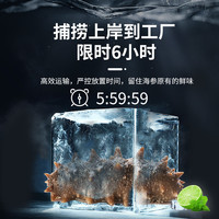 海晏堂 大连即食海参1500g三斤礼盒海鲜刺参鲜食单个