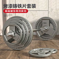 研博(YANBO)杠铃套装男士烤漆杠铃器材深蹲举重器材 20kg 杠铃(含杆)