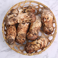 卡布诺 空运云南松茸新鲜鲜蘑菇野生菌未开伞香格里拉特产250克美味