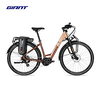 GIANT 捷安特 TOUR E+ 200 电动助力自行车