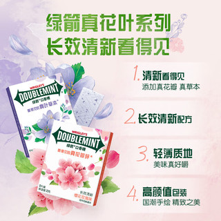 绿箭(DOUBLEMINT)口香糖 玫瑰薄荷味12片32g/盒 零食糖果 口气清新糖 玫瑰薄荷味12片*1盒