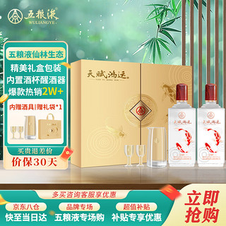 WULIANGYE 五粮液 仙林生态天赋鸿运52度500ml*2瓶