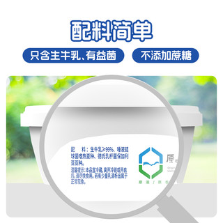 兰格格草原酸奶天边的额吉原味/零蔗糖低温酸奶8盒 1件