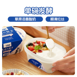 兰格格草原酸奶天边的额吉原味/零蔗糖低温酸奶8盒 1件