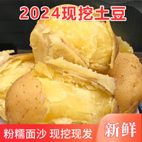 陇百味甘肃定西土豆2024年新挖粉糯面沙高山小洋芋鲜马铃薯定西特产 3两起 9斤 中大果