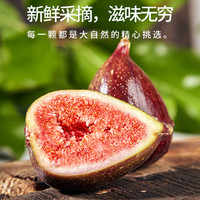 四川新鲜现摘波姬红皮无花果大果新鲜水果无花果儿童水果