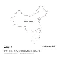 CoffeeBuff 24云南普洱厌氧日晒SL28软山SOE单一产地意式咖啡豆