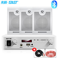 先科（SAST）LY-102K 壁挂音响套装定压功放机公共广播系统吊顶家用客厅会议餐厅背景喇叭组合音箱一拖三