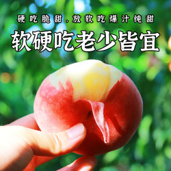 囤星 平谷红蟠桃净重4.5斤（中大果）