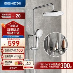 HEGII 恒洁 淋浴花洒套装 铜合金主体自动除垢手持花洒全套HMF950-333B
