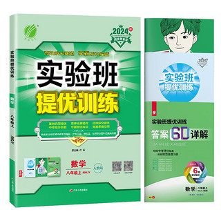 2024秋 实验班提优训练 八年级上册 数学人教版 强化拔高同步练习册