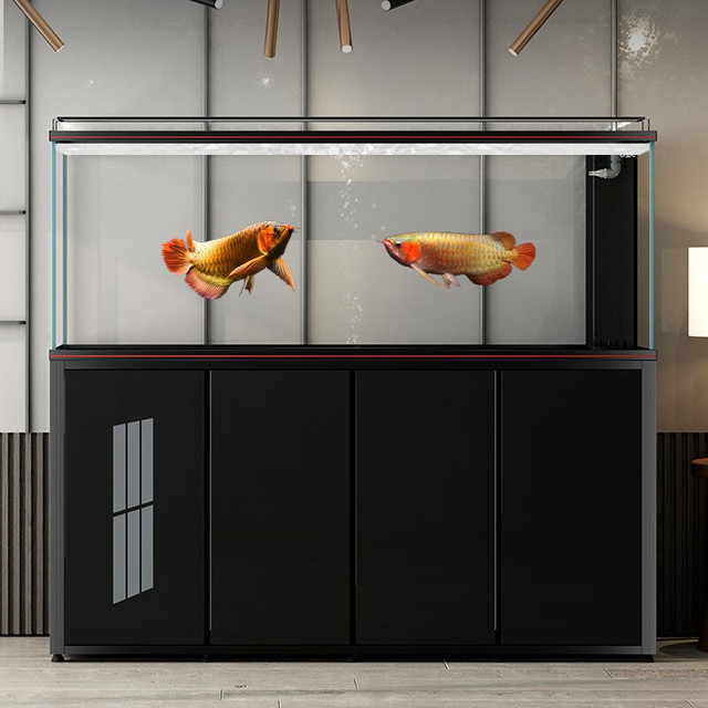 CADE 彩鲽 彩蝶中大型底过滤鱼缸新款超白玻璃生态水族箱免换水龙鱼缸 SES1200黑