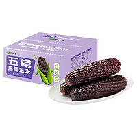 农科玉 五常黑糯玉米 220g*8根