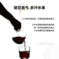 M2M橙花柑橘 巴拿马极光瑰夏手冲浅烘焙美式黑咖啡豆精品