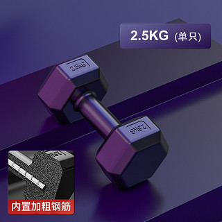 PINJIAN 品健 家用哑铃 2.5kg单只