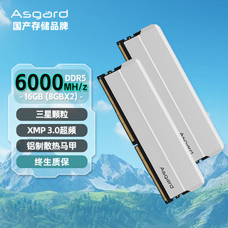 Asgard 阿斯加特 16GB(8GBx2)套装 DDR5 6000 台式机内存 海拉系列