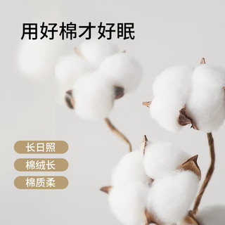 全棉四件套100纯棉2024床上用品被套床单精选款三件套床笠款