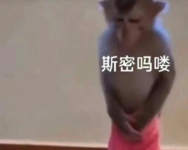 被确诊为吗喽，PLZDOT鉴定为MALO系列盲盒开箱分享