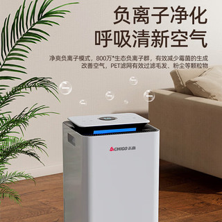  CHIGO/志高 大平层卧室大面积除湿 除湿机  12L/D