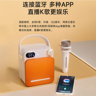 漫步者 便携式 迷你K歌音箱  云岩白