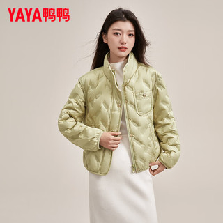 鸭鸭羽绒服鸭鸭（YAYA）羽绒服女短款2024年冬季立领防风舒适百搭保暖外套HY 豆绿色 160/84A(M)