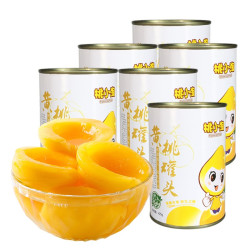 桃小淘 黄桃罐头 425g*5罐装 新鲜水果罐头 方便速食休闲零食 2瓶装