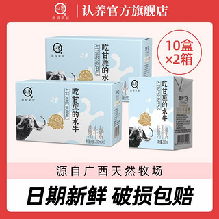 认养 小方砖认养吃甘蔗的水牛纯奶4.0g蛋白质200ml/盒整箱