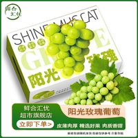 鲜合汇优 国产阳光玫瑰葡萄新鲜水果生鲜 整箱5斤左右净含量 2000g 中果