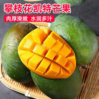 颜小荭四川攀枝花凯特芒 新鲜当季现摘整箱青皮水果芒果源头直发 4.5-5斤精选大果(单果450起)