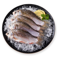 查干湖三去鲫鱼淡水鱼 500g/袋（3-6条装）去鳞去鳃去内脏 新鲜冷冻水产 查干湖鲫鱼 500g/袋