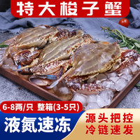 拾鲜生 中秋 海捕大梭子蟹3斤 6-8两/只 开海24年新蟹 液氮锁鲜 源头直发 3斤 6-8两/只 液氮锁鲜