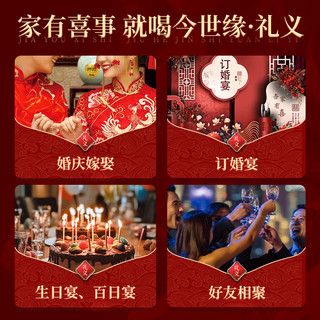  今世缘 纯粮酿造 白酒 礼袋  2x1x500ml 浓香型 包装 42