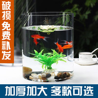 茨格曼圆柱形鱼缸一体缸办公桌面养鱼缸迷你小型玻璃钢乌龟缸家用金鱼缸 透明 直径15*高20CM