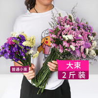  花草为伴 天然鲜花 干花花束  6色勿忘我+情人草 2斤，6色勿忘我 2斤，玫红+黄+粉+紫+情人草 2斤，玫红+白+粉+紫+情人草 2斤，玫红+黄+紫+情人草 2斤，黄+粉+紫+情人草 2斤，6色勿忘我+草  一斤，6色+草 30支+送圆花篮，6色+草 一斤+送高花篮，6色+草 +送酒红花瓶，6色+草 +送蓝红渐变花瓶，6色+草 +送灰色花瓶，彩色满天星 大束（不含瓶），粉色满天星 大束（不含瓶），蓝色满天星 大束（不含瓶），紫色满天星 大束（不含瓶），白色满天星 大束（不含瓶），勿忘我色10支，白+粉+紫色满天星 大束（不含瓶），彩色满天星+送15小钻玻璃花瓶，彩色满天星+送白瓷花瓶，粉红水晶花 超大束，白色铁皮花桶，复古铁皮花桶