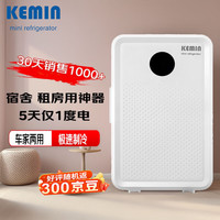 科敏 10L车载冰箱迷你小冰箱