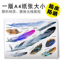 ps 汽车划痕贴白色羽毛个性创意车身遮挡保险杠装饰车贴纸汽车装饰 彩色羽毛/TB293