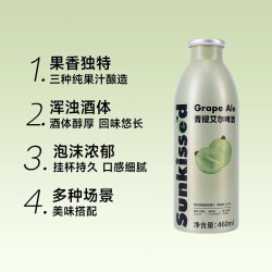 鲜啤30公里 果啤精酿啤酒青提艾尔460ML*4罐女士低度酒