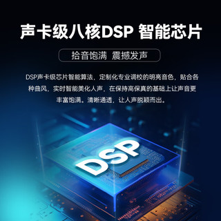 权盟K歌麦克风 家庭ktv儿童唱歌卡拉OK电视抖音直播降噪无线蓝牙k歌宝手持话筒音响一体 【重磅 主动降噪】银灰色