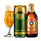 今日必买、值选：TSINGTAO 青岛啤酒 小棕金296ml*24瓶+青岛奥古特330ml*24听 赠白啤330ml*12罐（含赠到手共60罐）