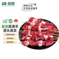 盐滩卖羊郎盐池滩羊肉串1kg 宁夏滩羊原切羔羊肉鲜冻烧烤食材 源头直发 羔羊肉串2斤