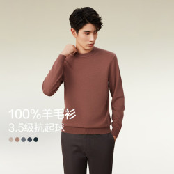 红豆男装 红豆羊毛衫男秋季打底针织纯色100%羊毛中年休闲百搭毛衣男 Z3-沉香褐 180/100B