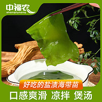 中福农 盐渍海带苗  凉拌凉菜 煲汤 火锅食材 盐渍海带苗500g