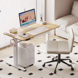 乐歌智能家居书房家具_乐歌智能家居 乐歌电动升降桌E1S/E1N小户型 桌板尺寸1多少钱-什么值得买